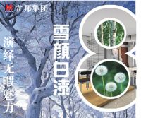 供应中国十大装修漆