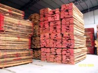 供应欧洲榉木板材