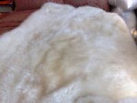 兔毛地毯
