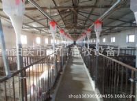 猪场全自动料线供应商报价/和信畜牧